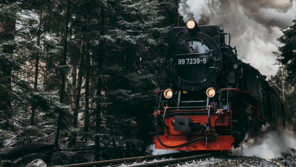 Паровоз в лесу