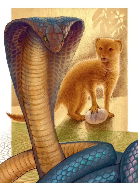 Рикитикитави арт