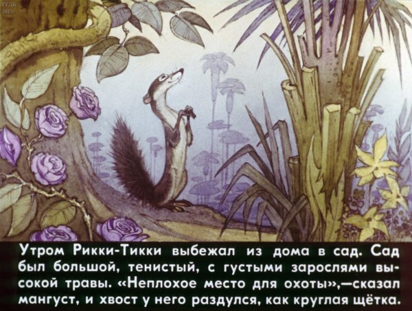 Книжка СССР Киплинг Рикки-Тикки-Тави