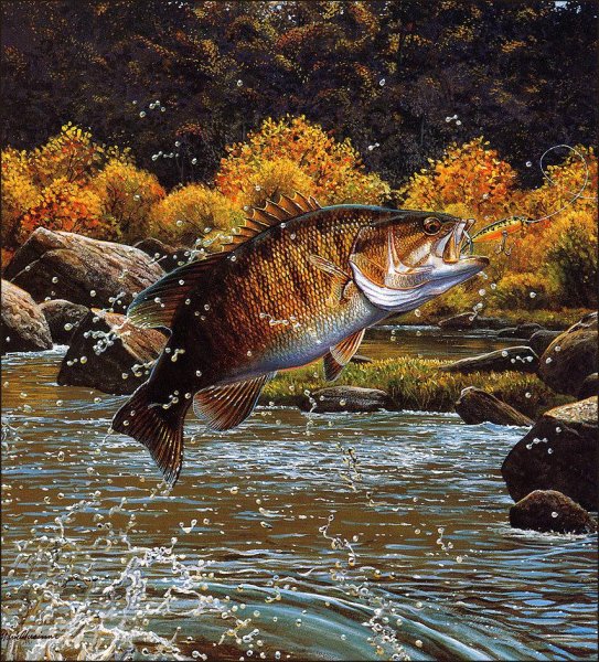 Марк Сузино (Mark Susinno)