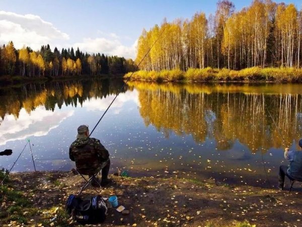 Природа рыбалка
