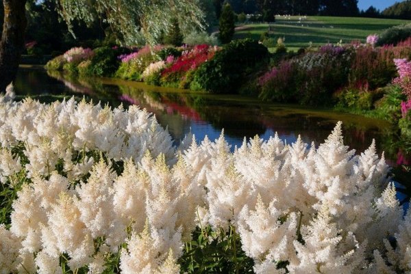 Сад Maple Glen Garden, новая Зеландия