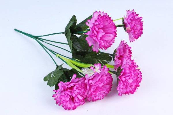 Лавандовые гвоздики