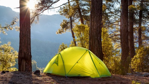 Палатка в лесу фото