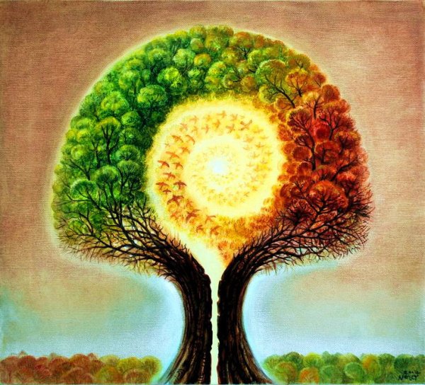 Древо жизни в жизни