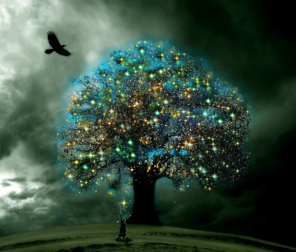 Волшебное дерево