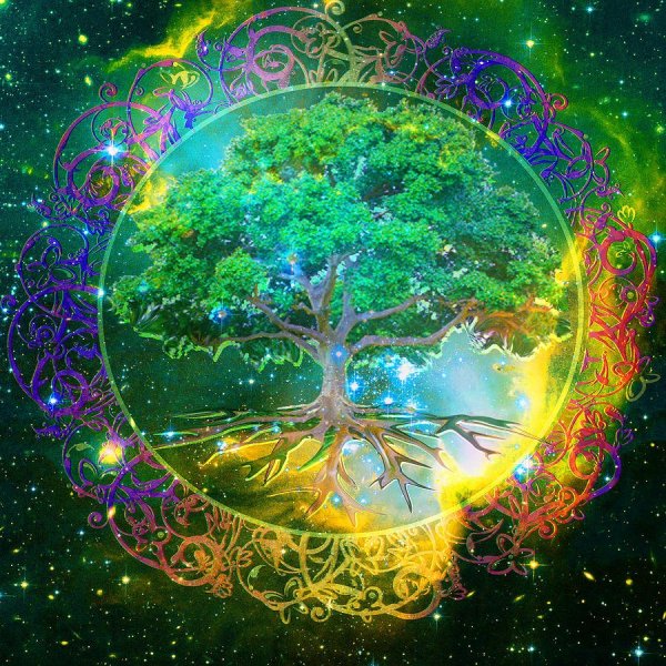 Дерево рода