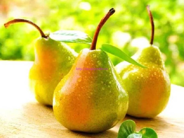 Красивая груша