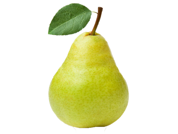 Pear (Пэар) - груша