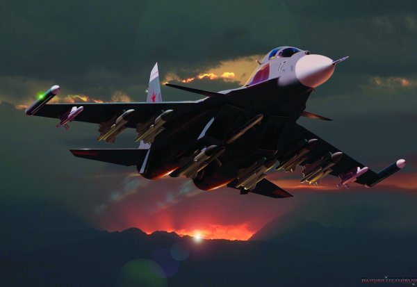 Су-30см арт