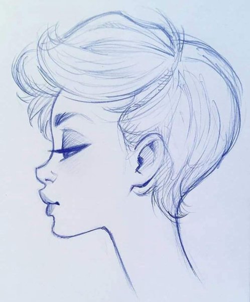 Профиль рисунок