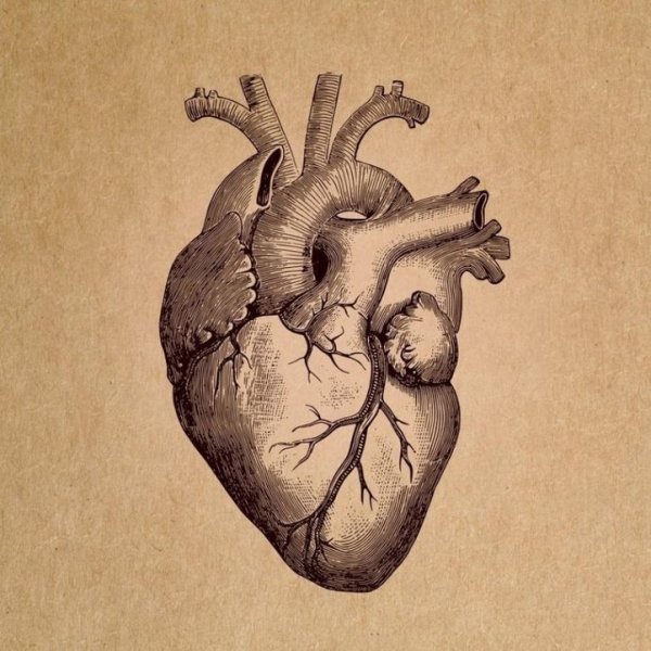 Сердце рисунок
