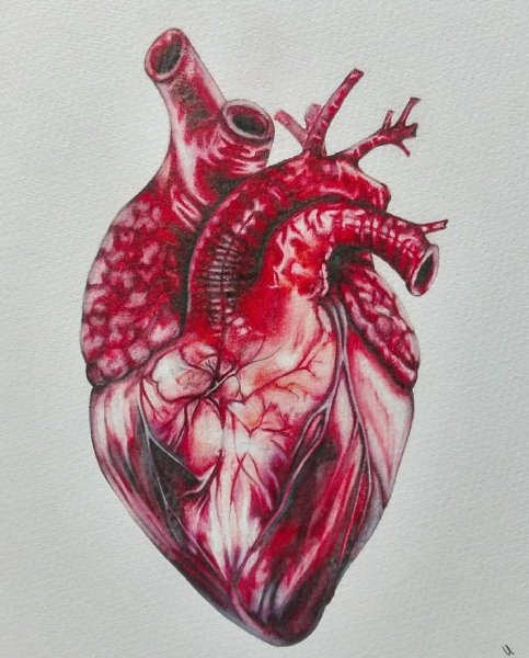 Сердце арт