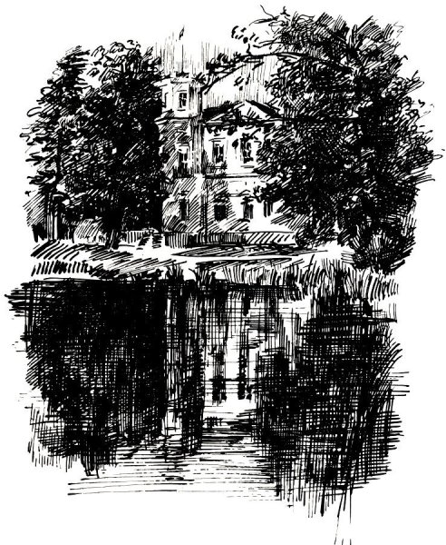 Тухья рисунок