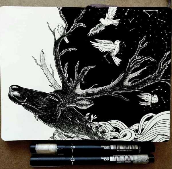 Графика тушью