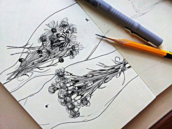 Красивые рисунки тушью