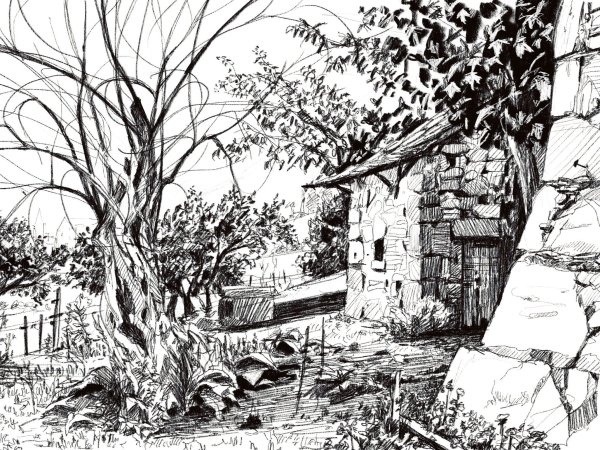 Небольшие рисунки тушью