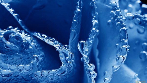 Капля чистой воды