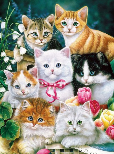 Красивые котята