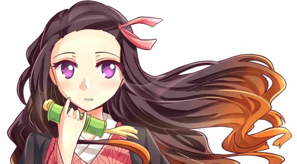 Nezuko the Demon Hunter
