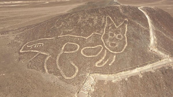 Геоглиф кота в Перу