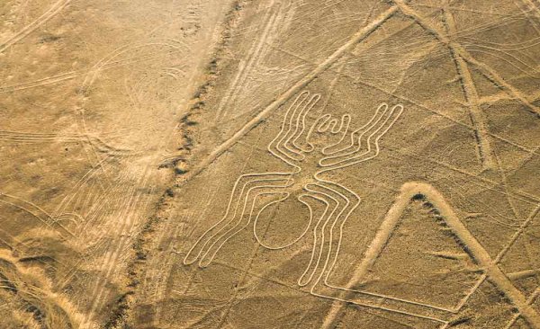 Nazca Ноябрьск