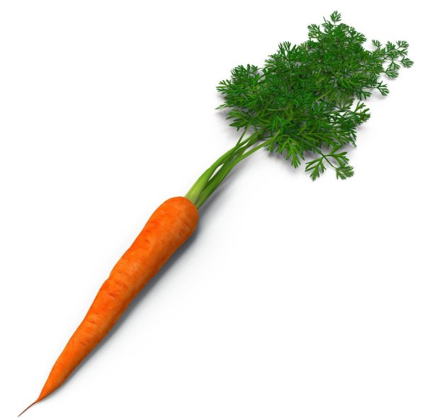 Морковь картинка на белом фоне для детей