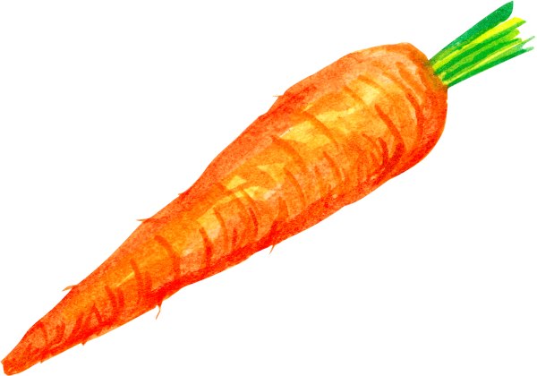 Морковка для фотошопа