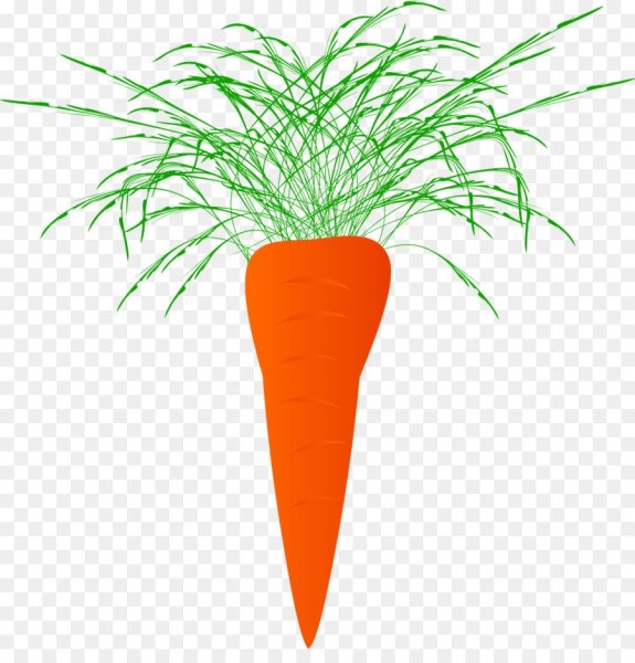 Морковь Кампо