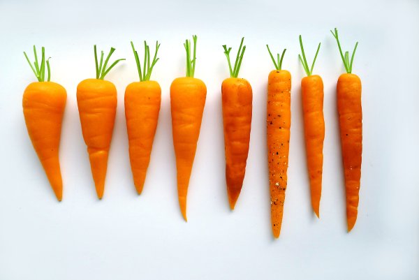 Картина морковь