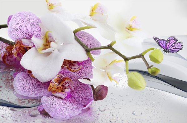 Terracotta Alba Orchid плитка