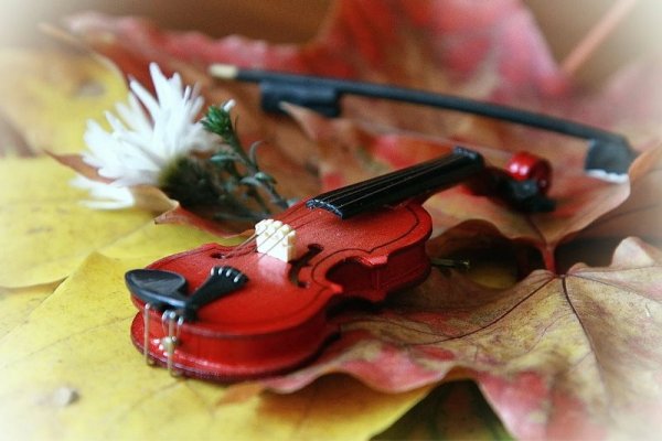 Осенний натюрморт со скрипкой