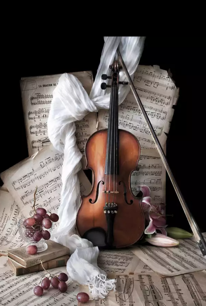 Красивая скрипка