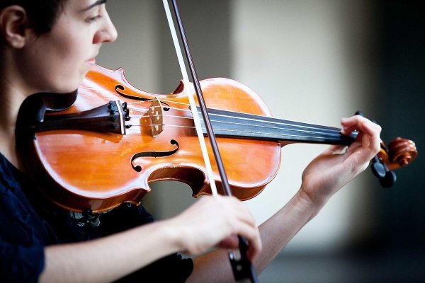 Скрипка музыкальный инструмент