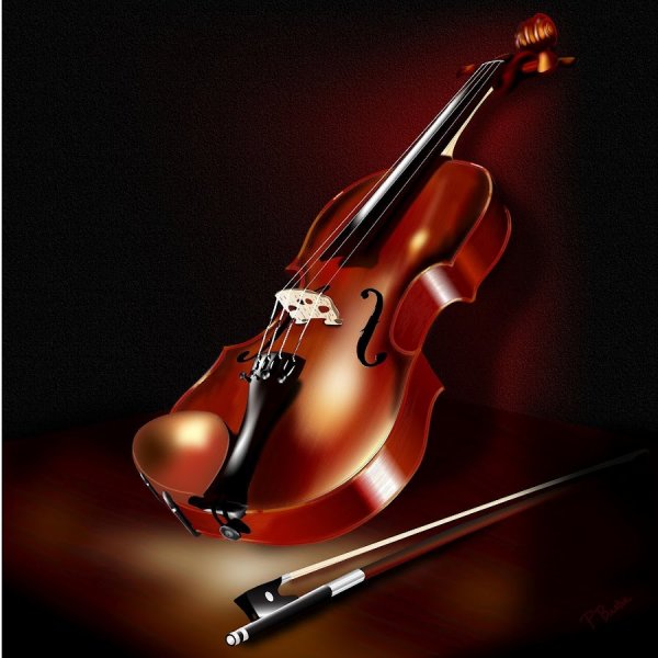 Ее величество скрипка