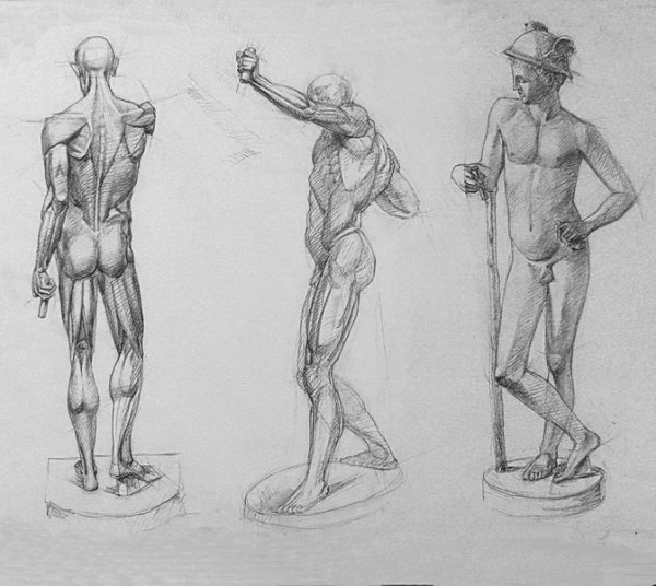 Анатомия на Экорше Гудона