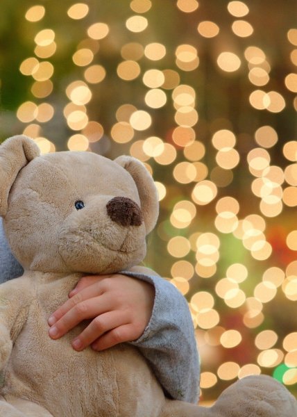 Плюшевый мишка Teddy Bear