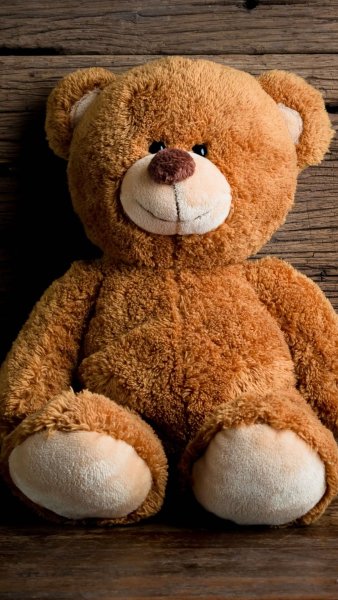 Плюшевый медведь Teddy Bear