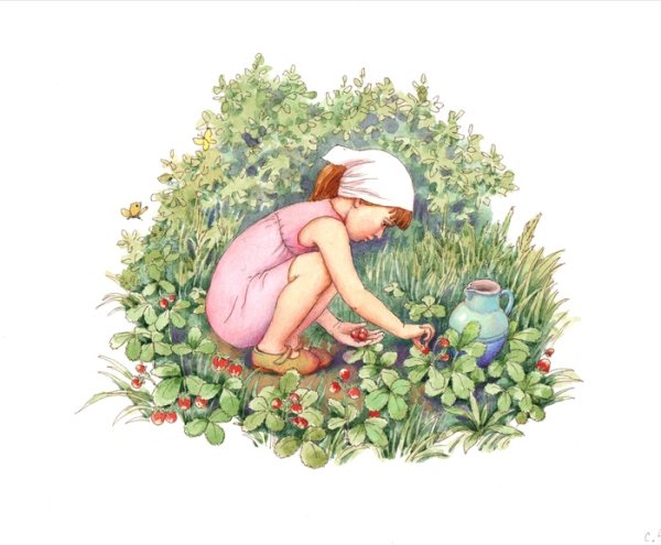 Иллюстрации к сказке Катаева дудочка и кувшинчик