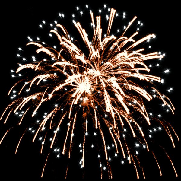 Рс9037 Брянский волк