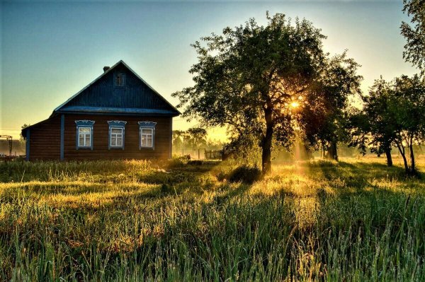 Деревня летом