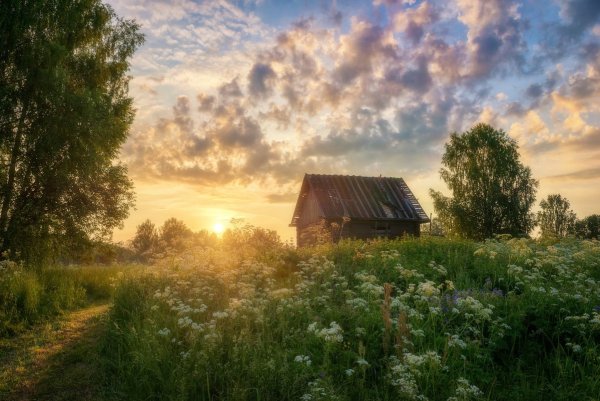 Природа деревня