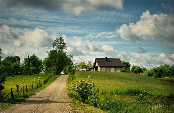 Лето в деревне