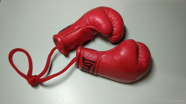 Перчатки боксерские Панчер лб54и10