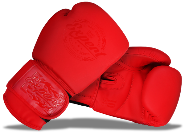 Перчатки для бокса Fight Expert 10 унц