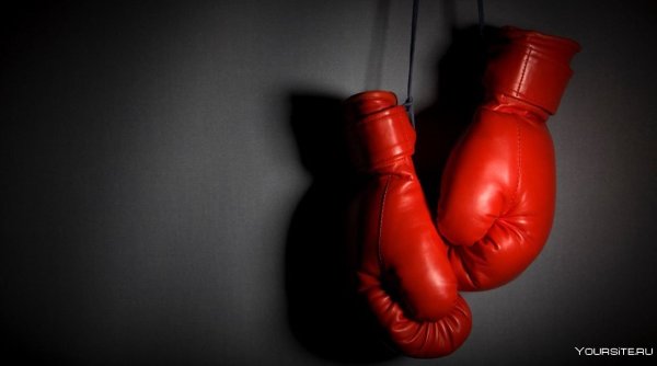 Золотая боксерская перчатка