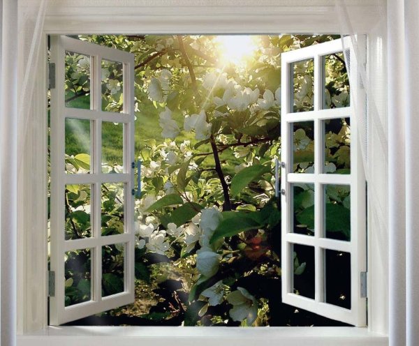 Красивые окна