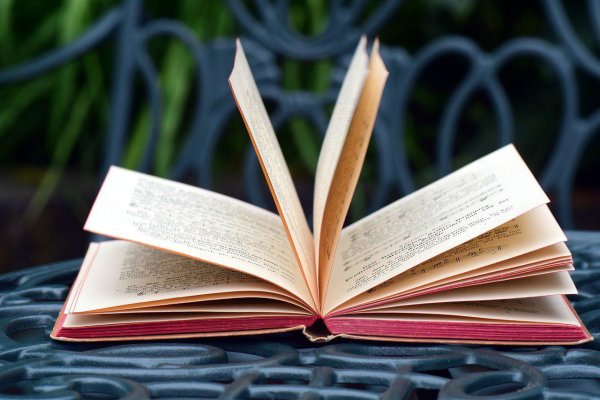 Открытая книга