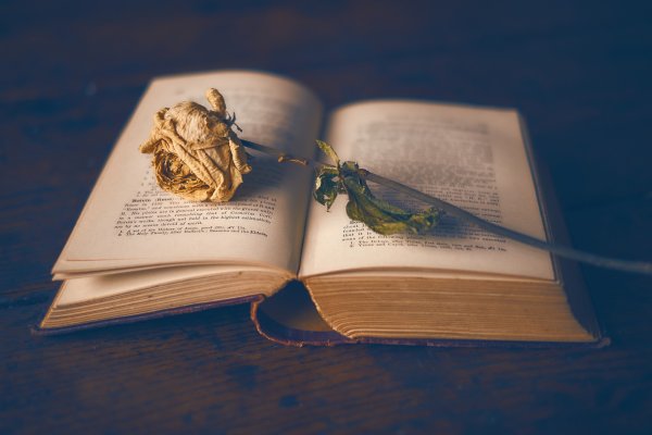Красивая раскрытая книга