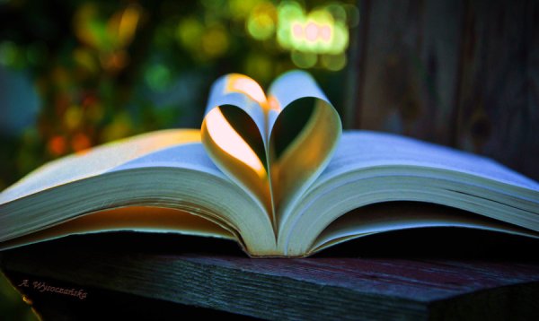Открытая книга с псевдонимом